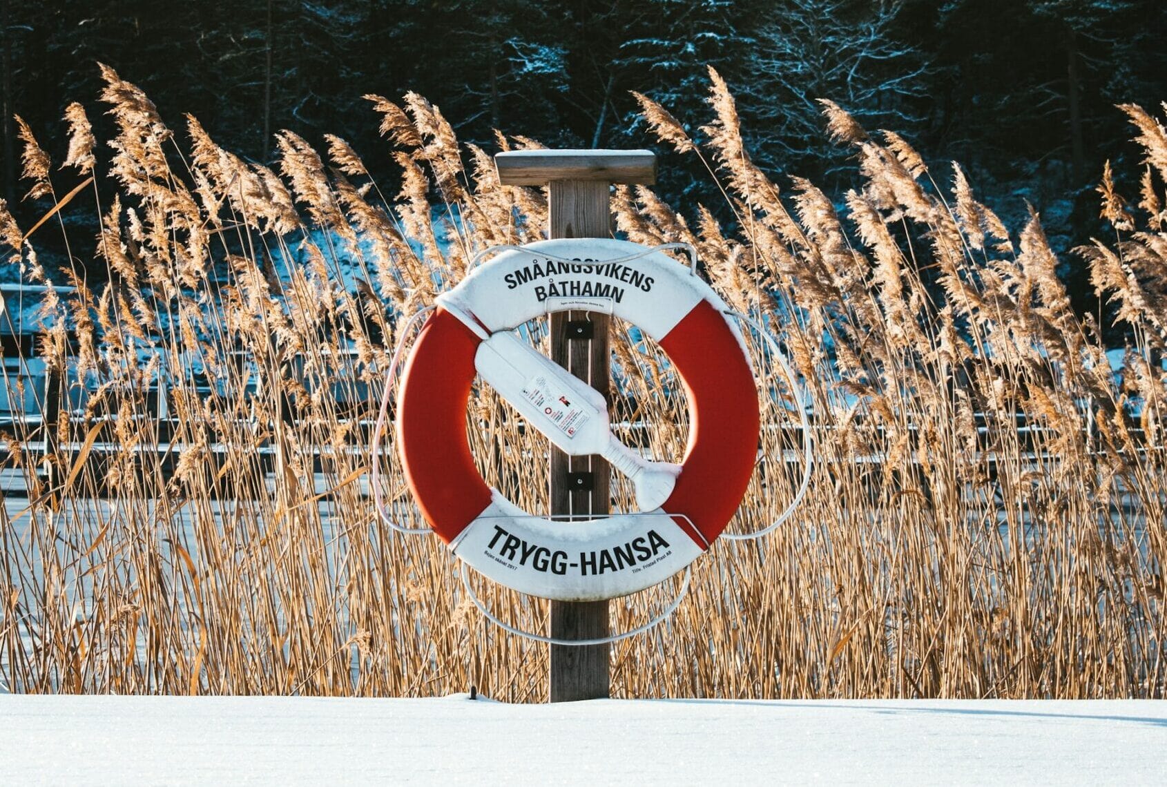 Skolsim och livräddning